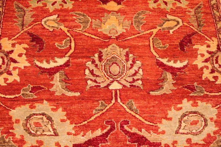 Bandora rug