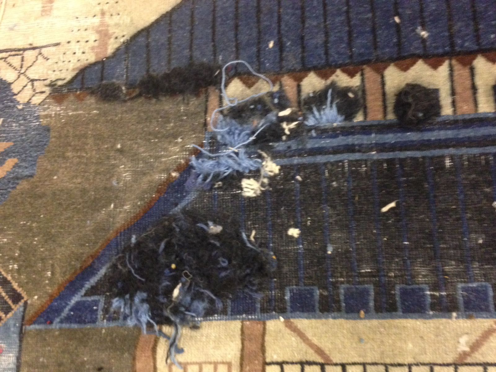 Antique Chinese carpet