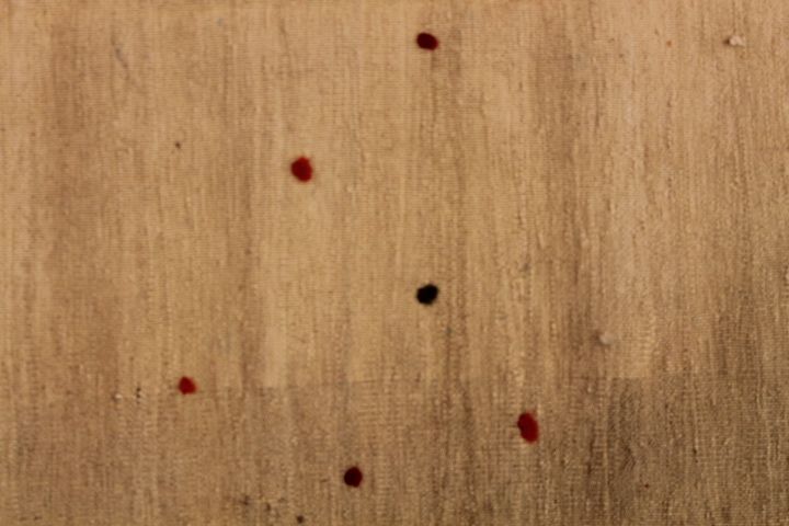 Qashqi kilim Soufrah